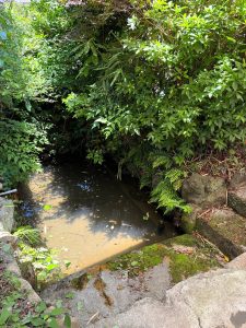 清水（湧き水）